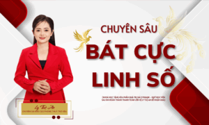 Bát Cực Linh Số Chuyên Sâu