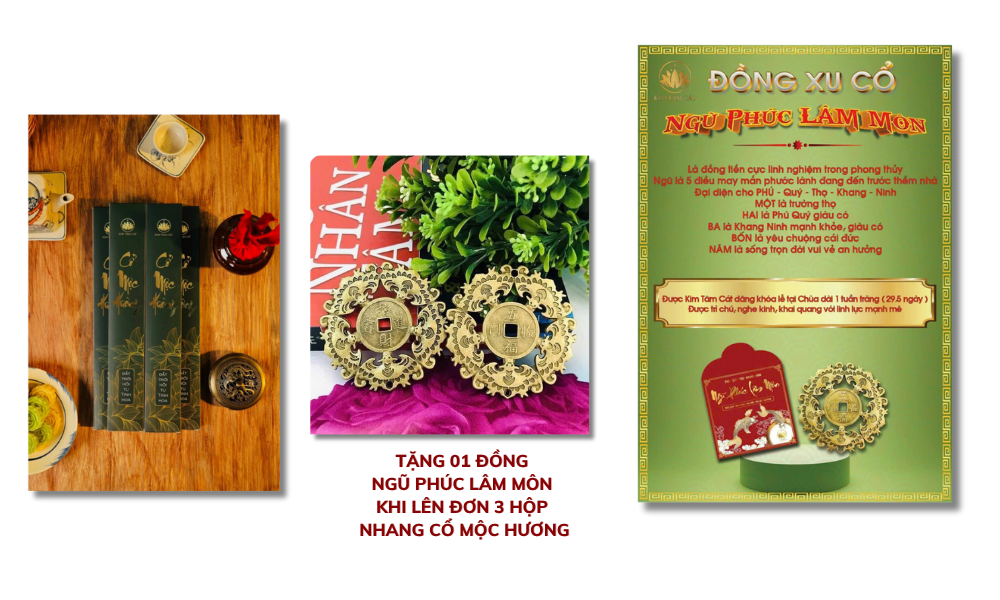 Nhang Cổ Mộc Hương Kim Tâm Cát - Khơi Mở Linh Khí Trong Gia Đạo