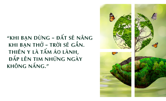 Thiên Y - Năng lượng chữa lành thân tâm giữa mọi biến động
