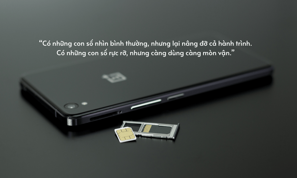 Sim đẹp theo mắt nhìn và sim linh số trợ mệnh Đâu là điều khác biệt